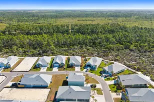 425 Vermilion Cir, Port Saint Joe, FL 32456 - Photo 43