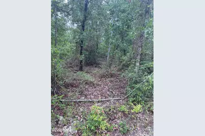 00 Abraham Street, Alford, FL 32420 - Photo 5
