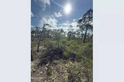 Lot A Adventure Avenue, Port Saint Joe, FL 32456 - Photo 3