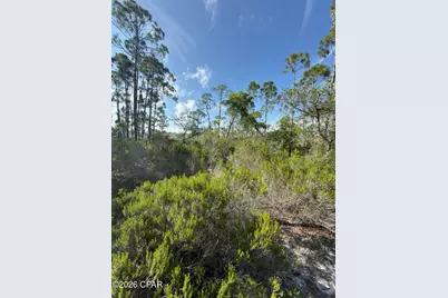 Lot A Adventure Avenue, Port Saint Joe, FL 32456 - Photo 7