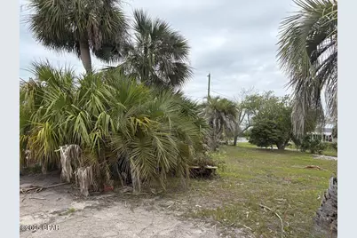 507 Cathey Lane, Mexico Beach, FL 32456 - Photo 5