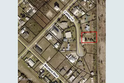 507 Cathey Lane, Mexico Beach, FL 32456 - Photo 3