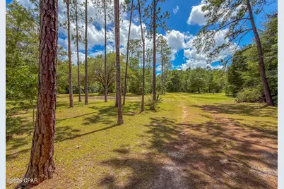14344 NW State Road 20, Bristol, FL 32321 - Photo 87