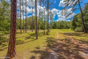14344 NW State Road 20, Bristol, FL 32321 - Photo 87