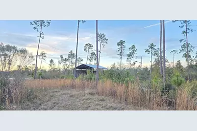 9641 Cr 386, Wewahitchka, FL 32465 - Photo 5
