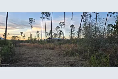 9641 Cr 386, Wewahitchka, FL 32465 - Photo 1