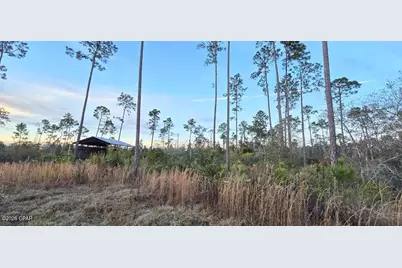 9641 Cr 386, Wewahitchka, FL 32465 - Photo 9