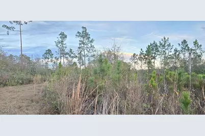 9641 Cr 386, Wewahitchka, FL 32465 - Photo 7