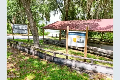2339 Deadening Road, Sunny Hills, FL 32428 - Photo 47