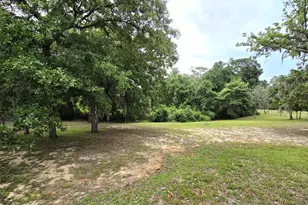 19460 NW County Road 67, Bristol, FL 32321 - Photo 13