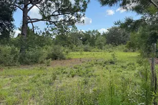 19716 Deep Springs Rd, Fountain, FL 32438 - Photo 15