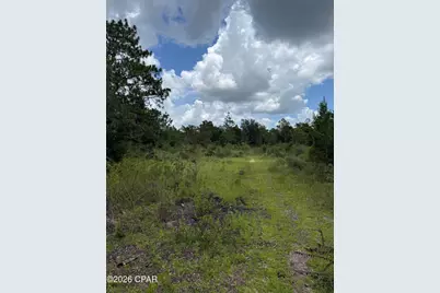 19716 Deep Springs Road, Fountain, FL 32438 - Photo 9