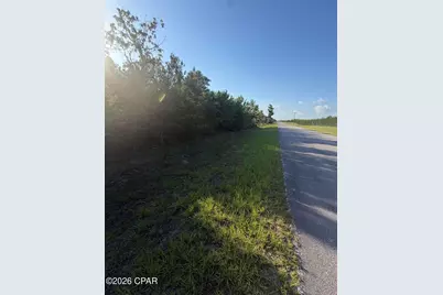 6629 Porter Grade Road, Altha, FL 32421 - Photo 3