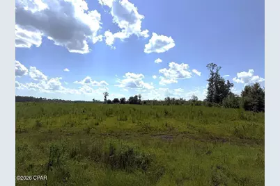 Lot 2 Hwy 71 S, Wewahitchka, FL 32449 - Photo 1
