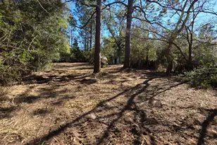 1908 Gravel Pit Rd, Chipley, FL 32428 - Photo 1