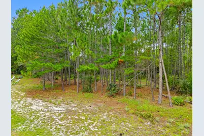 1509 Sweetbay Trail, Panama City Beach, FL 32413 - Photo 3