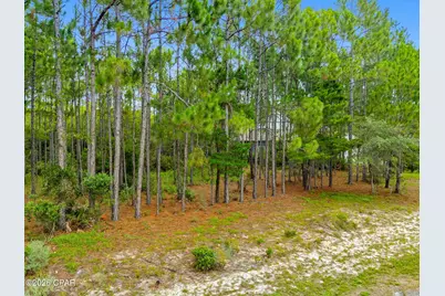 1509 Sweetbay Trail, Panama City Beach, FL 32413 - Photo 5