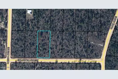 0 Golconda Street, Alford, FL 32420 - Photo 1