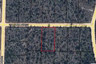 0 Golconda St, Alford, FL 32420 - Photo 5