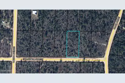 0 Golconda Street, Alford, FL 32420 - Photo 3
