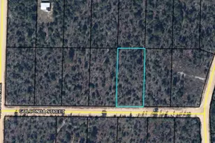 0 Golconda St, Alford, FL 32420 - Photo 3