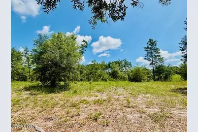 00 Lake Ridge Drive, Chipley, FL 32428 - Photo 11