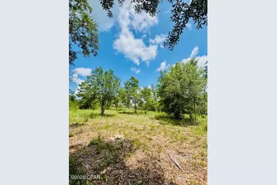 00 Lake Ridge Drive, Chipley, FL 32428 - Photo 9