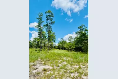 00 Lake Ridge Drive, Chipley, FL 32428 - Photo 13