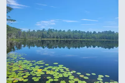 3047 Everest Drive, Chipley, FL 32428 - Photo 7