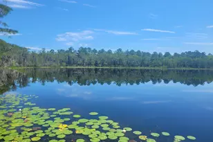 3047 Everest Dr, Chipley, FL 32428 - Photo 7