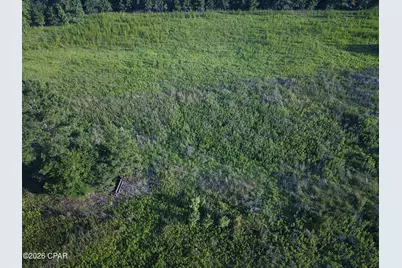 Tbd Suggs Attaway Road, Clarksville, FL 32430 - Photo 5