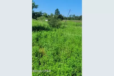 Tbd Suggs Attaway Road, Clarksville, FL 32430 - Photo 17