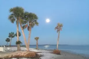 4100 Marriott 808 Dr, Panama City, FL 32408 - Photo 41