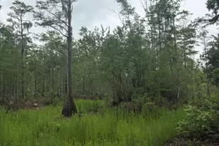 2435 Douglas Pond Rd, Marianna, FL 32446 - Photo 13