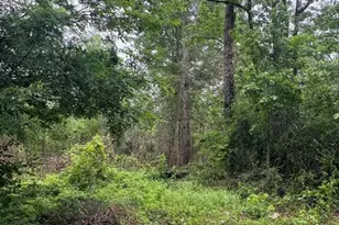 2435 Douglas Pond Rd, Marianna, FL 32446 - Photo 15