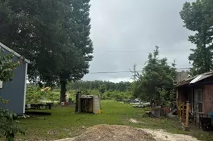 2435 Douglas Pond Rd, Marianna, FL 32446 - Photo 9