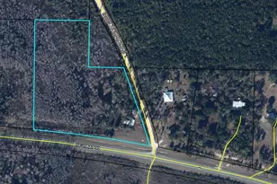 2435 Douglas Pond Rd, Marianna, FL 32446 - Photo 17