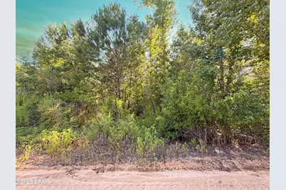 6019 SE Blon Carter Road, Blountstown, FL 32424 - Photo 1