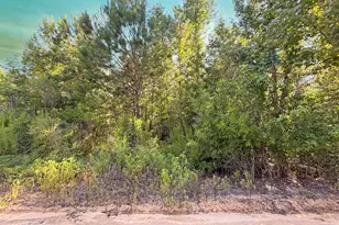 6019 SE Blon Carter Rd, Blountstown, FL 32424 - Photo 1