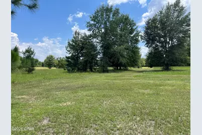 00 Gotcha Road, Marianna, FL 32448 - Photo 5