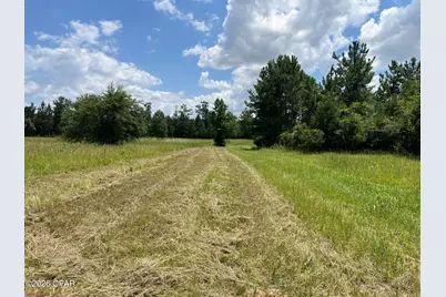 00 Gotcha Road, Marianna, FL 32448 - Photo 15