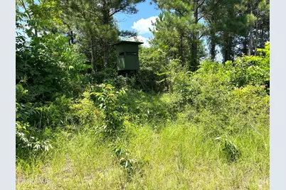 00 Gotcha Road, Marianna, FL 32448 - Photo 9