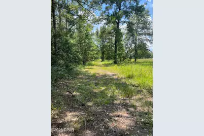 00 Gotcha Road, Marianna, FL 32448 - Photo 11