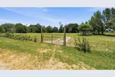 12431 Forest Glen Road, Fountain, FL 32438 - Photo 9