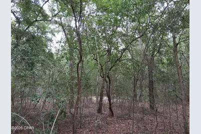 Lot 6 Wellington Place #1, Chipley, FL 32428 - Photo 3