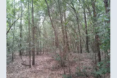 Lot 11 Eastbrook Drive #2, Chipley, FL 32428 - Photo 3
