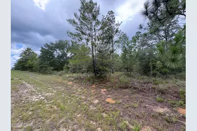 Lot 12 Yorkshire Drive, Chipley, FL 32428 - Photo 3