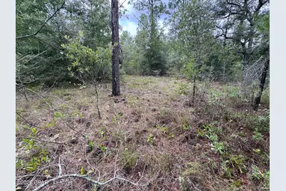 Lot 12 Yorkshire Drive, Chipley, FL 32428 - Photo 5