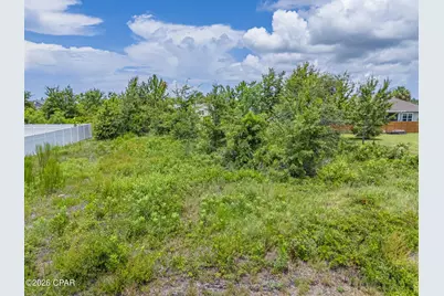 407 California Drive, Mexico Beach, FL 32456 - Photo 19