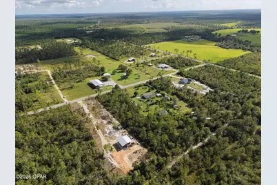 Lot 5 Borders Road, Wewahitchka, FL 32465 - Photo 7